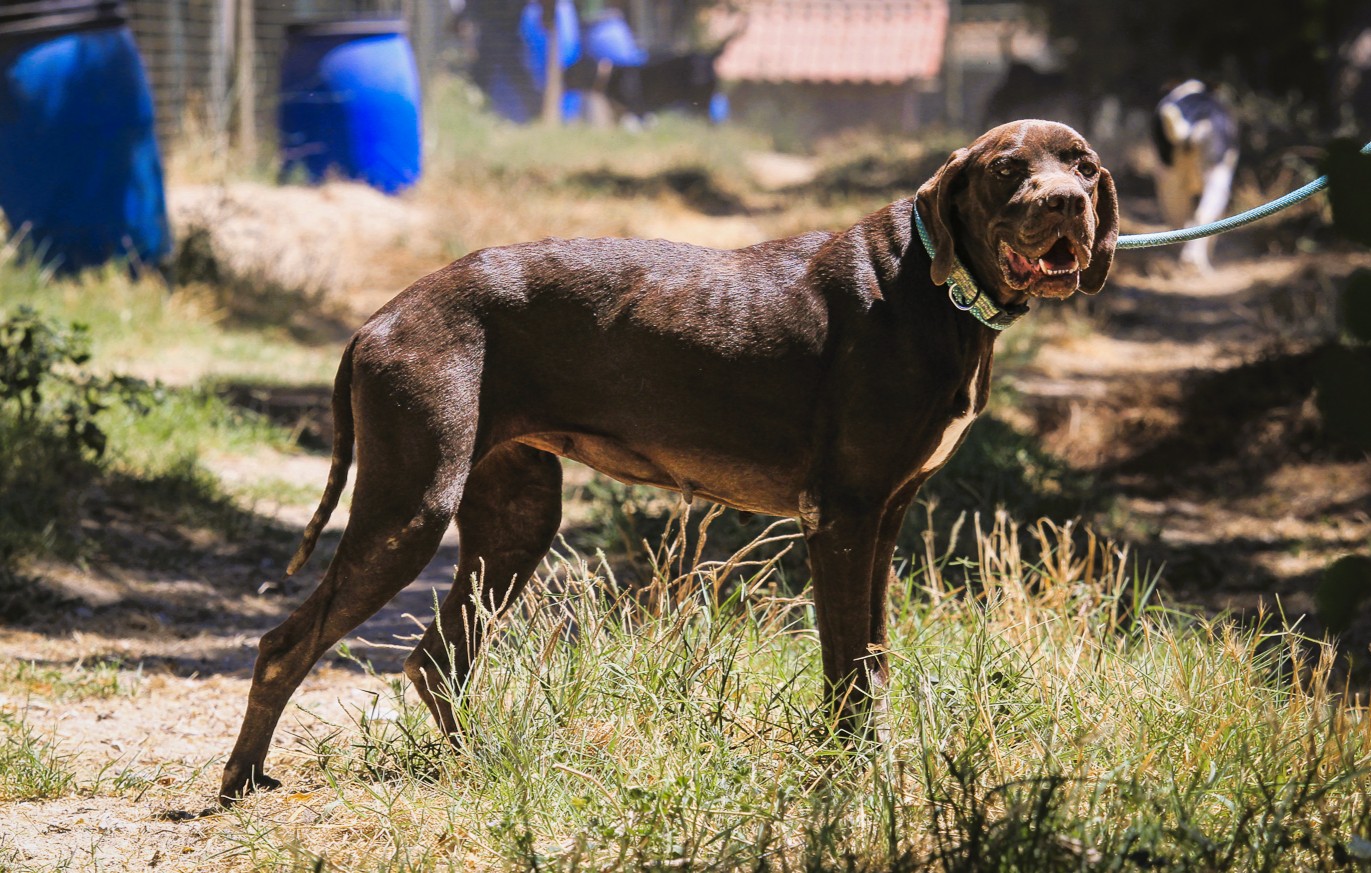 LADY