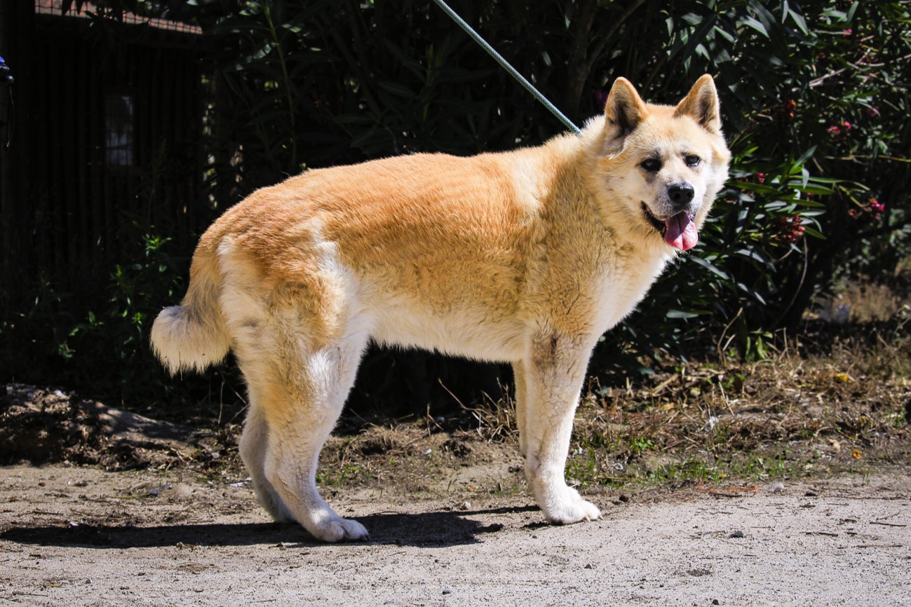 MAGALI