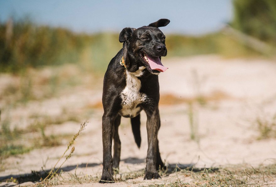 LOTTA