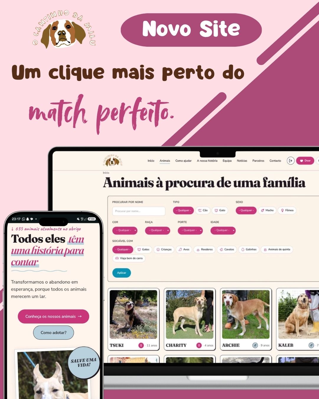 New Website
